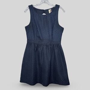 Francesca's Collections Blue Textured Dress